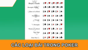 Các loại bài trong Poker