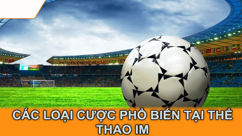 Các loại cược phổ biến tại thể thao IM