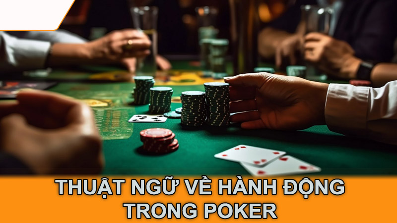 Thuật Ngữ Về Hành Động Trong Poker