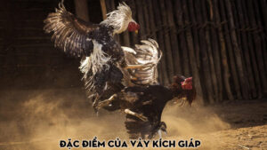 Đặc điểm của vảy kích giáp